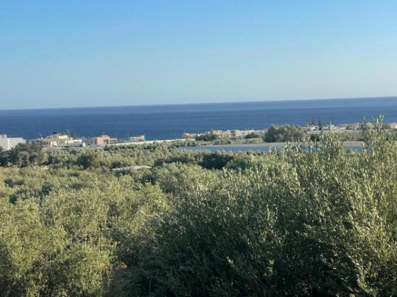 Koutsouras Kreta, Koutsouras: Tolles Baugrundstück in Meeresnähe zu verkaufen Grundstück kaufen